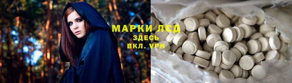 прущие грибы Горнозаводск
