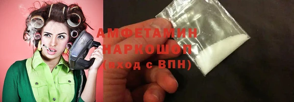 прущие грибы Горнозаводск