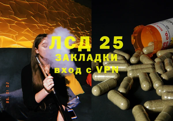 прущие грибы Горнозаводск