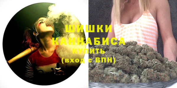 прущие грибы Горнозаводск