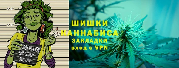 прущие грибы Горнозаводск
