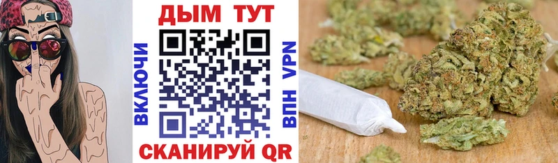 Купить где  Ухта  Каннабис Amnesia 